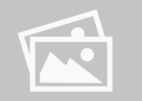 Luật sư Lê Song Tùng